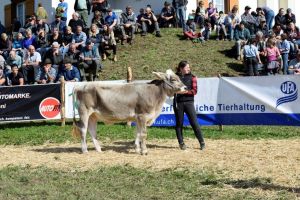 Stimmungsbild Bettina Bissig 3 Platz Rinderchampion Bender Brina